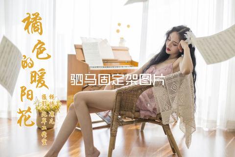 驷马固定架图片